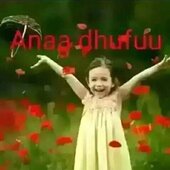 sagni