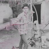 Animy
