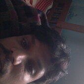 Pravvul