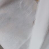 Fucks123
