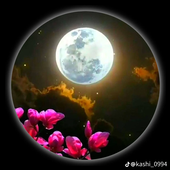 Ahmed ali