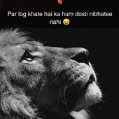 Faiz237