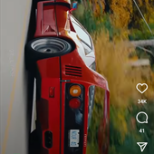 Danish _09