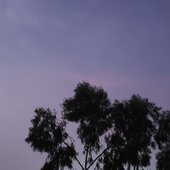 Vinod kumar@