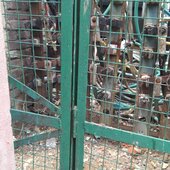 Vikas verma