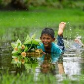 Habibur