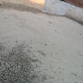 Kapil Sharma 0008