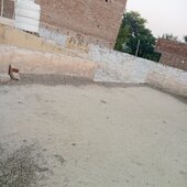 Kapil tetarwal on th