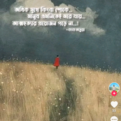 Arian Shohan