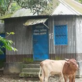 MD.SAROAR JAHAN NIRO