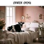 Milon455@