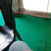Panki