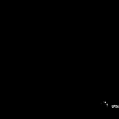 Not_Vedant
