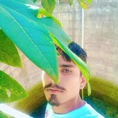Dhan singh