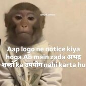 Rokky raja