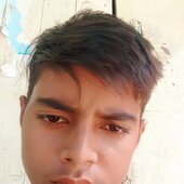 Raj vija