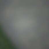 Bhanuduck