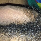 Chiku  Sorkar