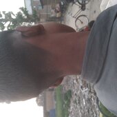 Gopi das