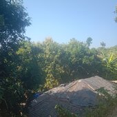 Md Nahid