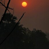 Karan Sharma