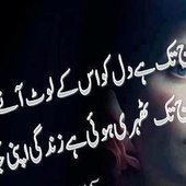 aliraza3350