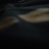 Psjdn