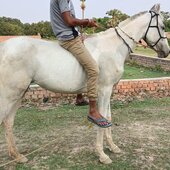 Amarnath कुमार