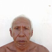 Vigote