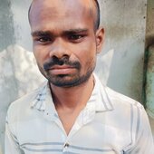 Raj kis