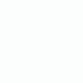 Song8024