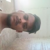Tigerking8
