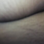 Shavi