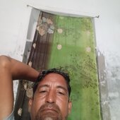 Sanju soni
