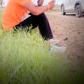 Myau