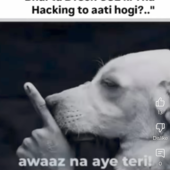 Anyt