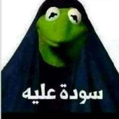 waleedbobwaleeddaabo