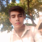 Pranshu singh
