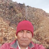 Milenario12