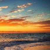 mdmahadi