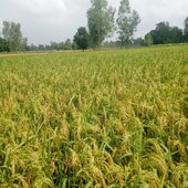 Bhumi@