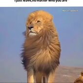 S@R