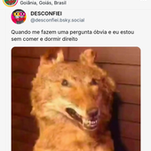 Miooni