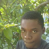 Curtis