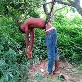 Bokman