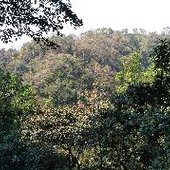 kobita