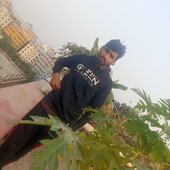 *.Aminul