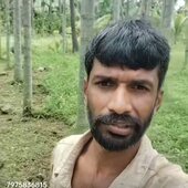 Dinesh H D