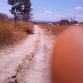 Bwleni