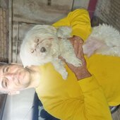 سعید خان